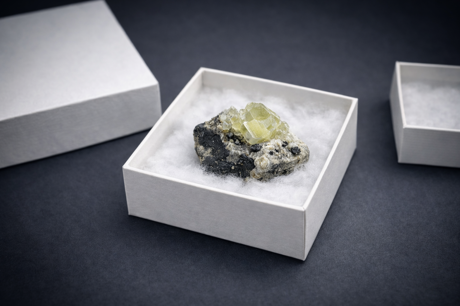 Cotton-Filled Box with Mineral